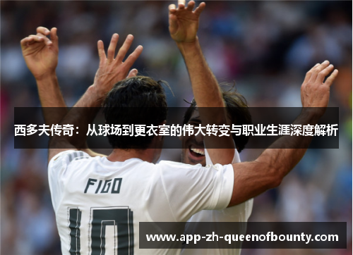 西多夫传奇：从球场到更衣室的伟大转变与职业生涯深度解析