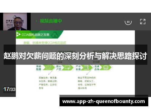 赵鹏对欠薪问题的深刻分析与解决思路探讨
